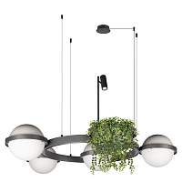Подвесной светодиодный светильник Loft IT Jardin 10121/4 Dark grey - цена и фото