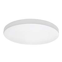 Светильник накладной заливающего света со встроенными светодиодами Lightstar Arco 225202 - цена и фото
