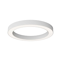 Потолочный светильник Maytoni Technical C093CL-45W4K-W - цена и фото