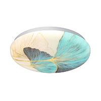 Настенно-потолочный светодиодный светильник Sonex Pale Floren 7747/CL - цена и фото