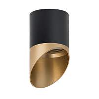 Lightstar Комплект со светильником Rullo R34871490 - цена и фото