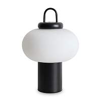 Настольная лампа Freya Take FR6175TL-L10B - цена и фото