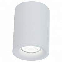 Потолочный светильник Maytoni Alfa C012CL-01W - цена и фото