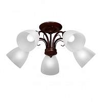 Потолочная люстра Vitaluce V3499/5PL - цена и фото