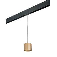 Lightstar Комплект со светильником Rullo для трека PRO Rullo PRORP3490 - цена и фото