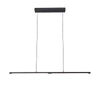 Светильник подвесной ST-Luce RALIO SL1580.403.01 - цена и фото