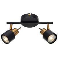 Светильник спот Arte Lamp Almach A1906PL-2BK - цена и фото
