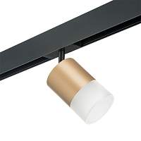 Lightstar Комплект со светильником Rullo для трека PRO Rullo PRO349081 - цена и фото