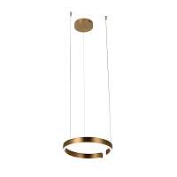 Подвесной светильник Loft IT Ring 10013S - цена и фото