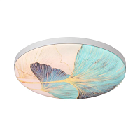 Настенно-потолочный светодиодный светильник Sonex Pale Floren 7747/EL - цена и фото