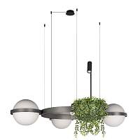 Подвесной светодиодный светильник Loft IT Jardin 10121/3 Dark grey - цена и фото
