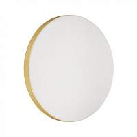 Настенно-потолочный светильник Sonex Smalli 3066/CL - цена и фото