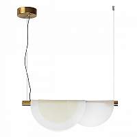 Светильник подвесной Odeon Light Colle 4358/20L