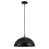 Подвесной светильник Arte Lamp CAPPELLO A7056SP-1BK - цена и фото
