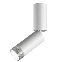 Потолочный светильник Odeon Light HIGHTECH 7136/8CL - цена и фото