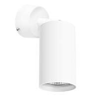 Светильник накладной точечный Lightstar Rullo RB436 - цена и фото