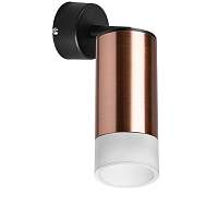 Lightstar Комплект со светильником Rullo RB43031 - цена и фото