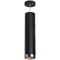 Lightstar Комплект со светильником Rullo RP497431 - цена и фото