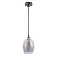 Подвесы Arte Lamp PROPUS A4344SP-1BK - цена и фото