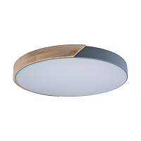 Потолочный светильник Loft IT Axel 10004/36 Grey - цена и фото