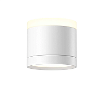 Потолочный светильник Maytoni Technical C120CL-GX53-W - цена и фото