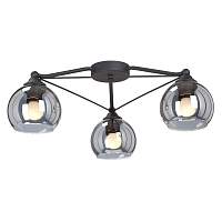 Потолочная люстра Vitaluce V4703-1/3PL - цена и фото