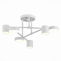 Люстра потолочныя Evoluce Nobel SLE201052-06 - цена и фото