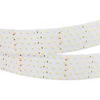 Светодиодная лента RT 2-2500 24V Cool 8K 5x2 (2835, 875 LED, LUX) (Arlight, 36 Вт/м, IP20) - цена и фото