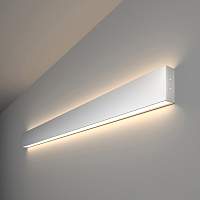 Настенный светодиодный светильник Elektrostandart 101-100-40-103 4200К матовое серебро - цена и фото