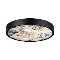 Настенно-потолочный светильник Odeon Light BERGI 5064/24L - цена и фото
