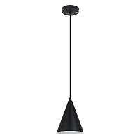Подвесной светильник Arte Lamp Lark A7074SP-1BK - цена и фото