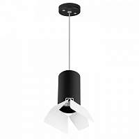 Подвесной светильник Lightstar RULLO HP16 RP437436 - цена и фото