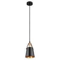 Подвесной светильник с 1 плафоном Arte Lamp A7032SP-1BK THOMAS под лампу 1xE27 60W - цена и фото