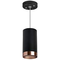 Lightstar Комплект со светильником Rullo RP437430 - цена и фото