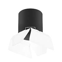 Lightstar Комплект со светильником Rullo R3487486 - цена и фото