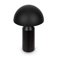 Настольная лампа Freya Eleon FR5218TL-02B1 - цена и фото