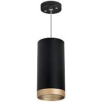 Lightstar Комплект со светильником Rullo RP648790 - цена и фото