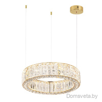 Подвесная светодиодная люстра Odeon Light VERSION 5071/60L - цена и фото