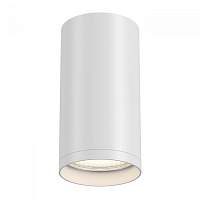 Накладной светильник Maytoni FOCUS C052CL-01W - цена и фото