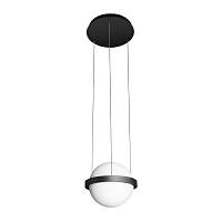 Подвесной светильник LOFT IT Jardin 10121/A - цена и фото