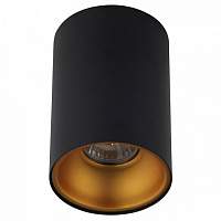 Накладной светильник Crystal Lux Clt 411 CLT 411C BL-GO - цена и фото