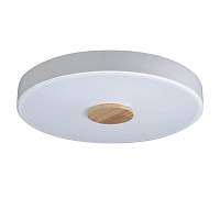 Потолочный светильник Loft IT Axel 10003/24 White - цена и фото