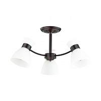 Люстра потолочная Lumion Comfi 4534/3C - цена и фото