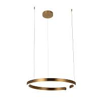 Подвесной светильник Loft IT Ring 10013L - цена и фото