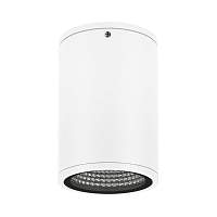 Светильник накладной LGD-FORMA-SURFACE-R90-12W Day4000 (WH, 44 deg, 230V) (Arlight, IP54 Металл, 3 года) - цена и фото