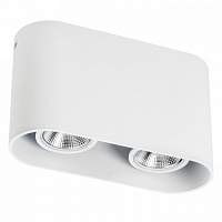 Накладной светильник Lightstar RULLO 2xHP16 214866 - цена и фото