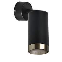 Lightstar Комплект со светильником Rullo RB437431 - цена и фото