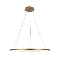 Подвесной светильник Loft IT Ring 10014L - цена и фото