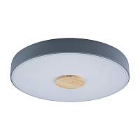 Потолочный светильник Loft IT Axel 10003/24 Grey - цена и фото