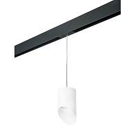 Lightstar Комплект со светильником Rullo для трека PRO Rullo PRORP348686 - цена и фото